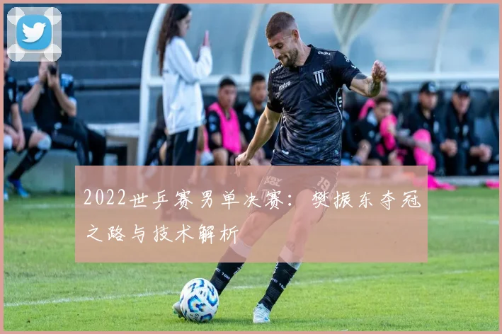 2022世乒赛男单决赛:樊振东夺冠之路与技术解析