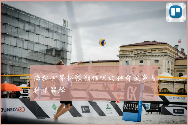 揭秘世界杯预测猫咪的神奇故事与科学解释