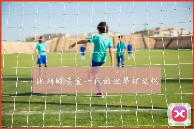 比利时黄金一代的世界杯记忆
