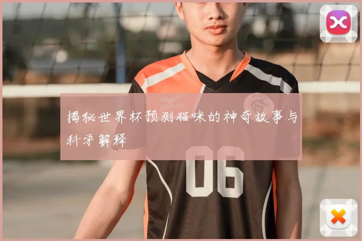 揭秘世界杯预测猫咪的神奇故事与科学解释