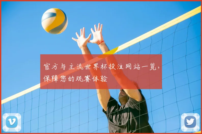 官方与主流世界杯投注网站一览，保障您的观赛体验