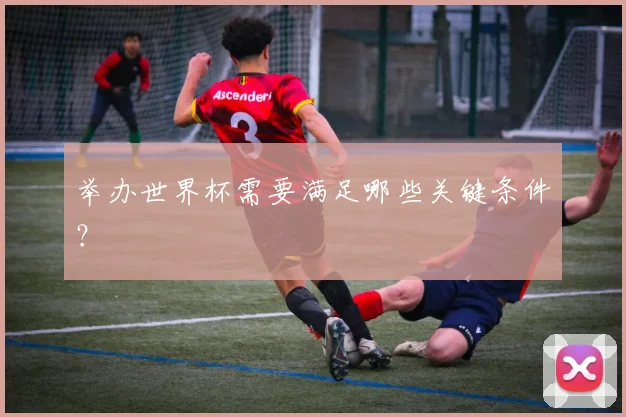 举办世界杯需要满足哪些关键条件？