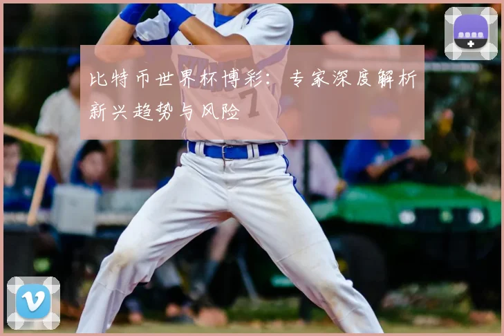 比特币世界杯博彩：专家深度解析新兴趋势与风险