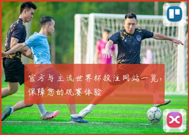 官方与主流世界杯投注网站一览,保障您的观赛体验