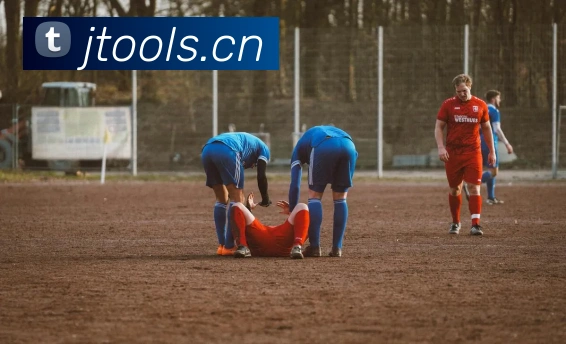 App Interface Preview